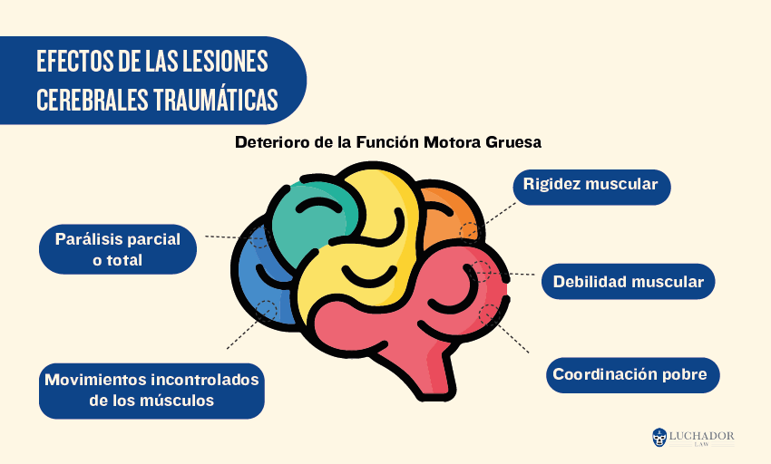 EFECTOS DE LAS LESIONES CEREBRALES TRAUMÁTICAS